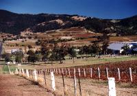 Hunter Valley 1001